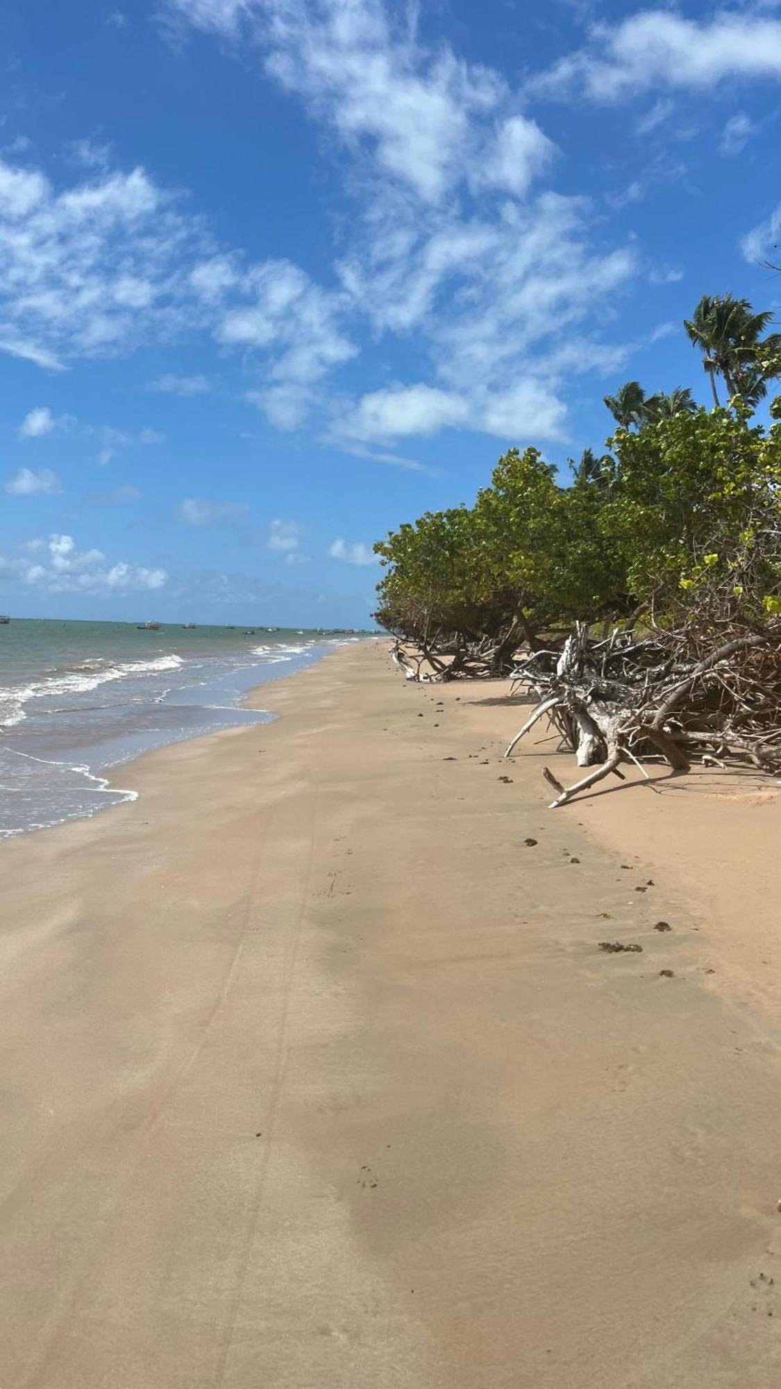 הוילה Pôrto de Pedras Casa De Luxo Na Praia Do Patacho - Cond. Azulu, Casa 04 מראה חיצוני תמונה